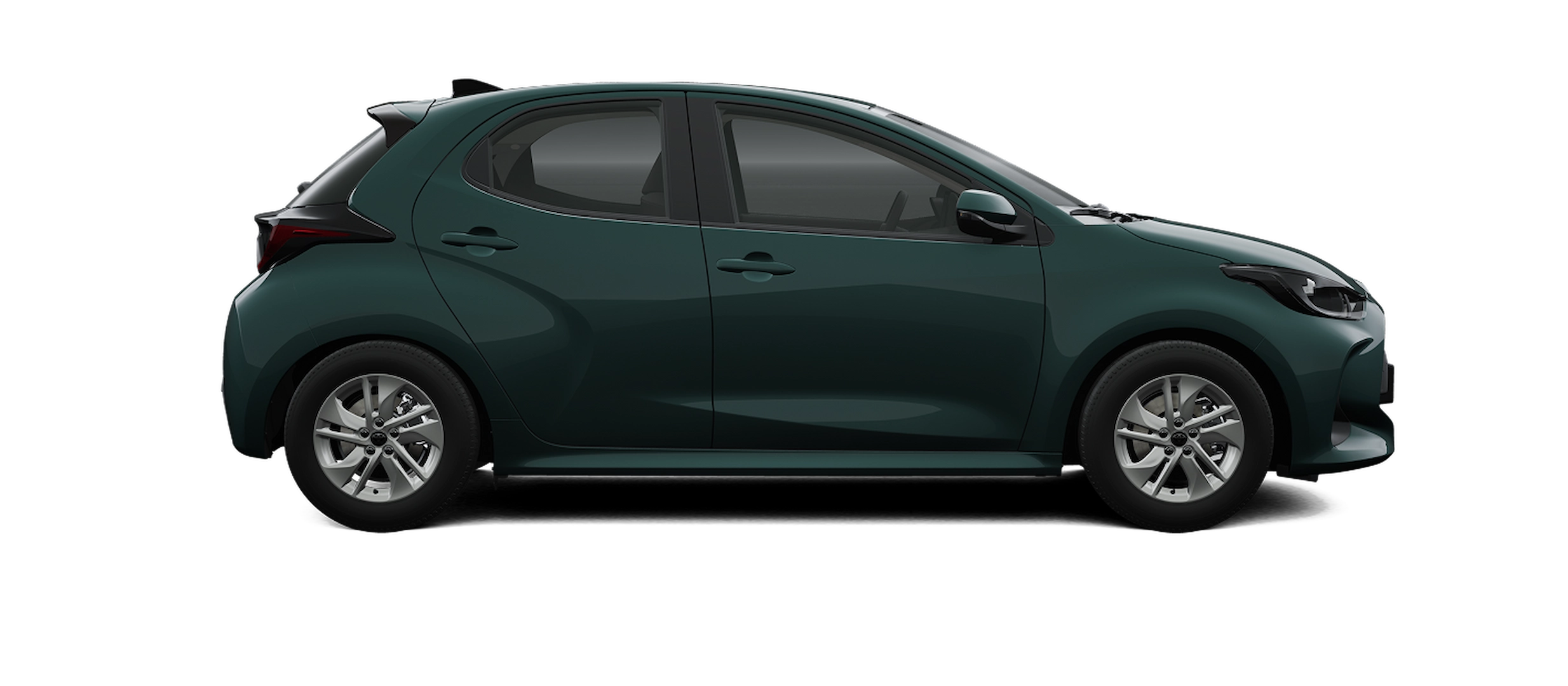 Verde Everest - 11